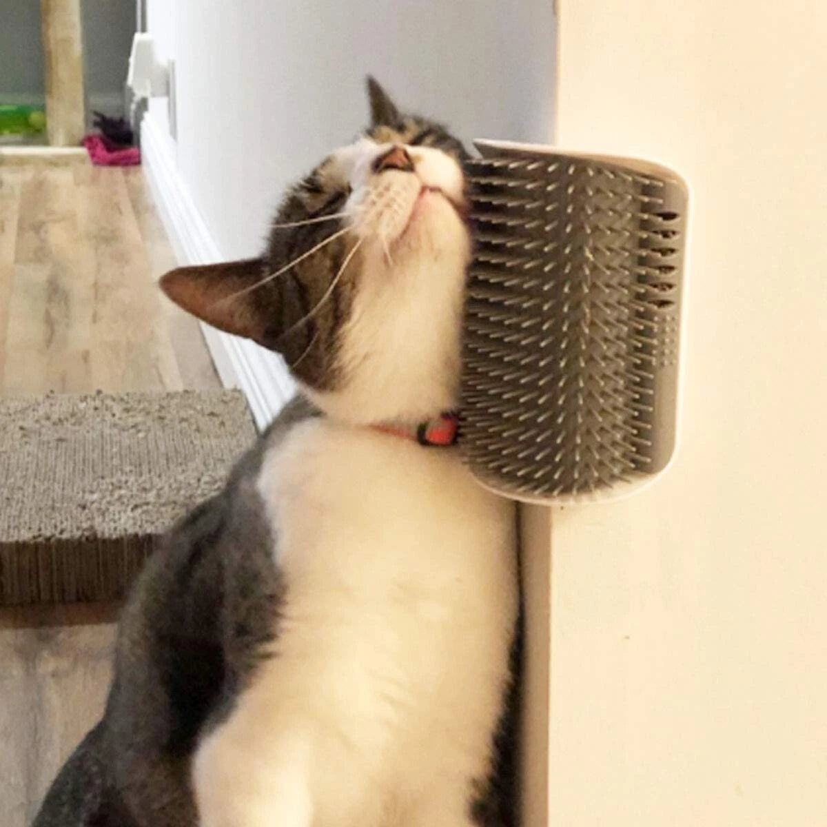 2 Pack Softer Self Groomer with Catnip Wall Corner Massage Comb Scratcher Groomi