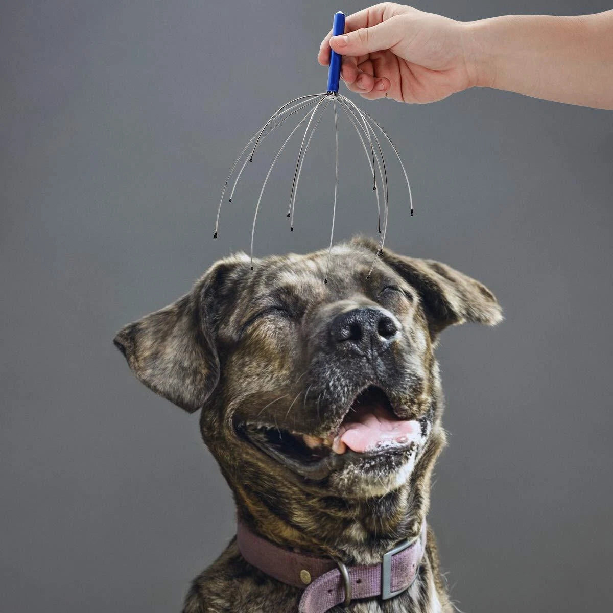 4 Pcs Head Massager Head Scratcher for Deep Relaxation Hair Stimulation