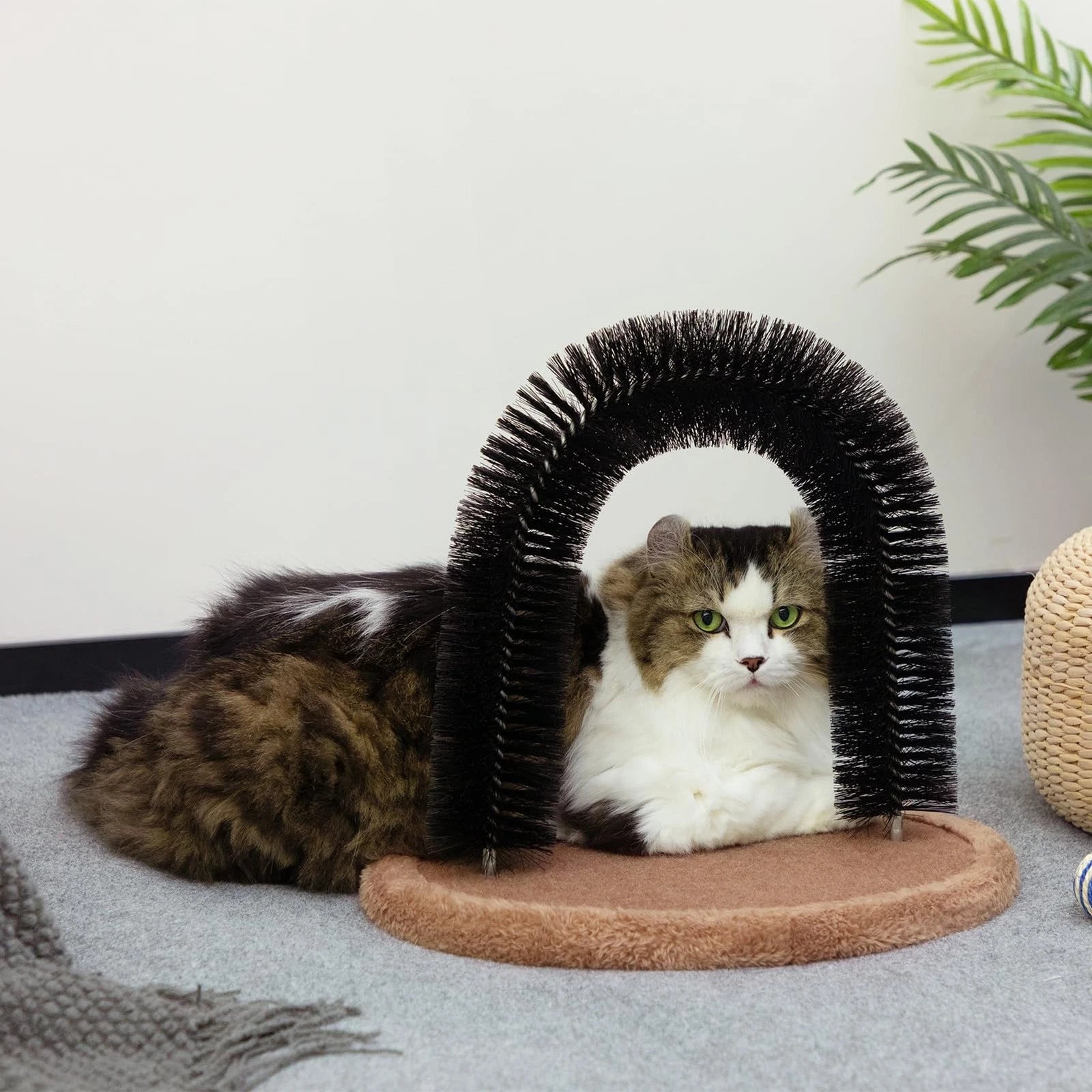 Self Grooming Cat Arch Brush Toy | Massager & Scratcher | Reduces Shedding