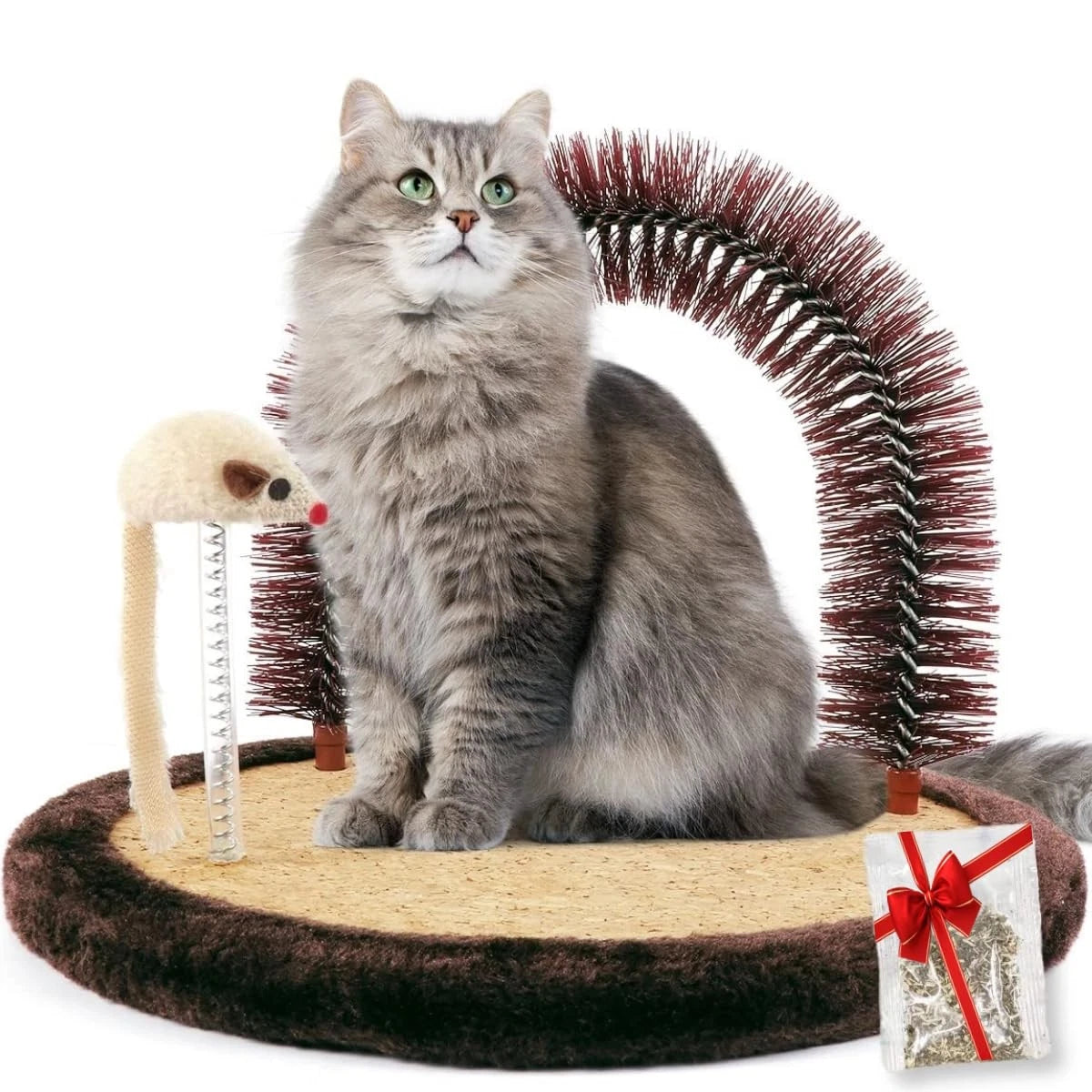 Large Cat Self Groomer with Wooden Scratching Pad and Toy for Indoor Cats