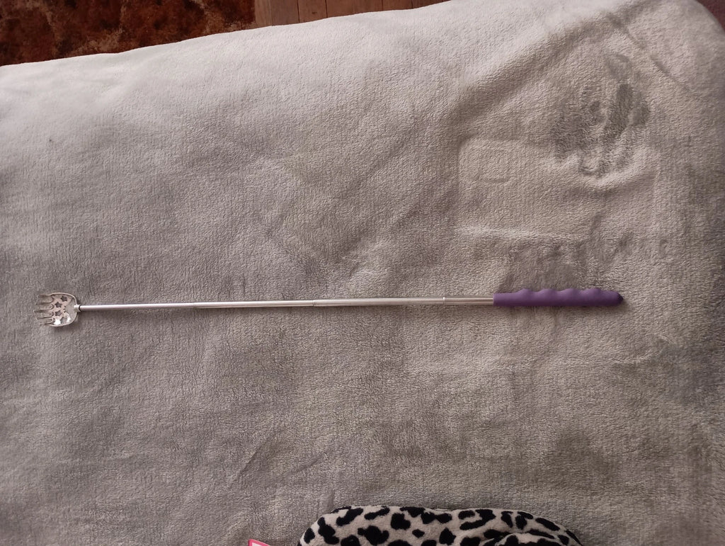 back scratcher with telescoping handle