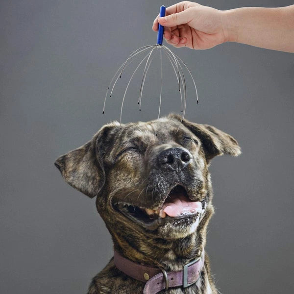 4 Pcs Head Massager Head Scratcher for Deep Relaxation Hair Stimulation