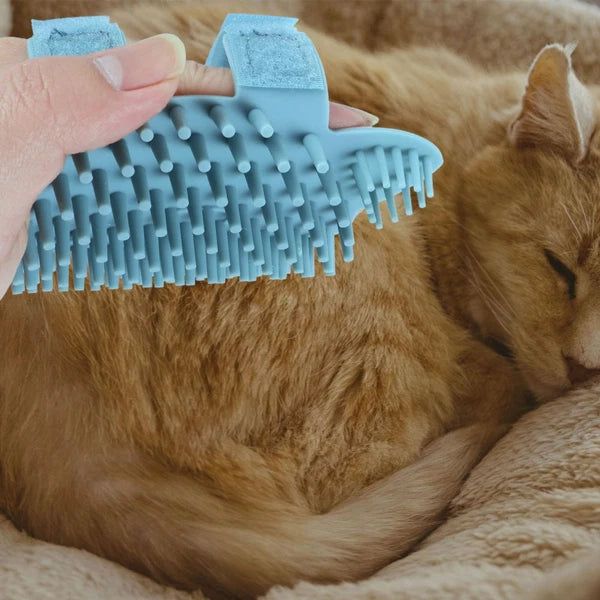 Wall Scratcher Cat Silicone Massage Brush Bridegroom Brushes for Grooming