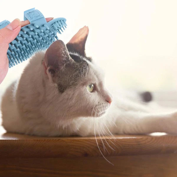 Wall Cat Scratcher Cat Brushes for Indoor Cats Massage Comb Pet Grooming Brush