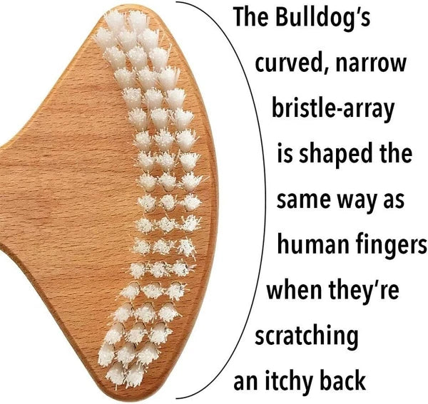 Back Scratcher, the Original Brush Skin Stimulator for Itch Relief and Pleasu...
