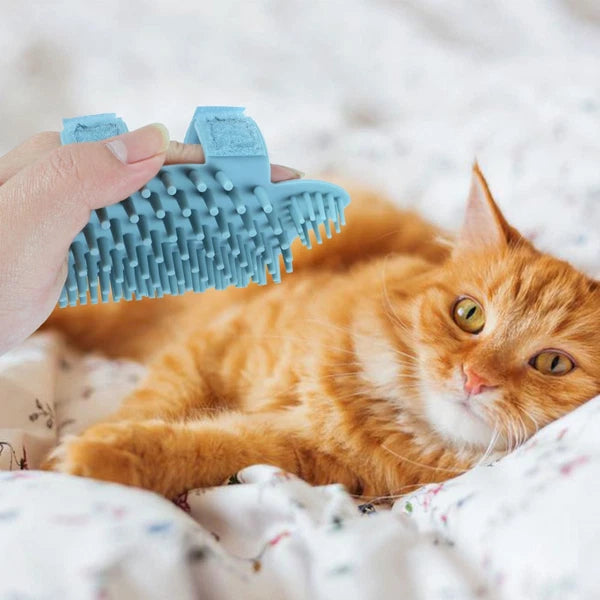 Wall Scratcher Cat Silicone Massage Brush Bridegroom Brushes for Grooming